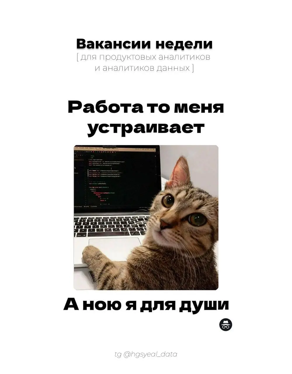Подборка свежих вакансий для аналитиков данных и продуктовых аналитиков 🔗
😮‍💨 Старт карьеры / Junior
Продуктовый аналитик, Сравни
Аналитик-разработчик, Т-Банк
Младший продуктовый аналитик, Инвитро
Ана... | Сетка — социальная сеть от hh.ru