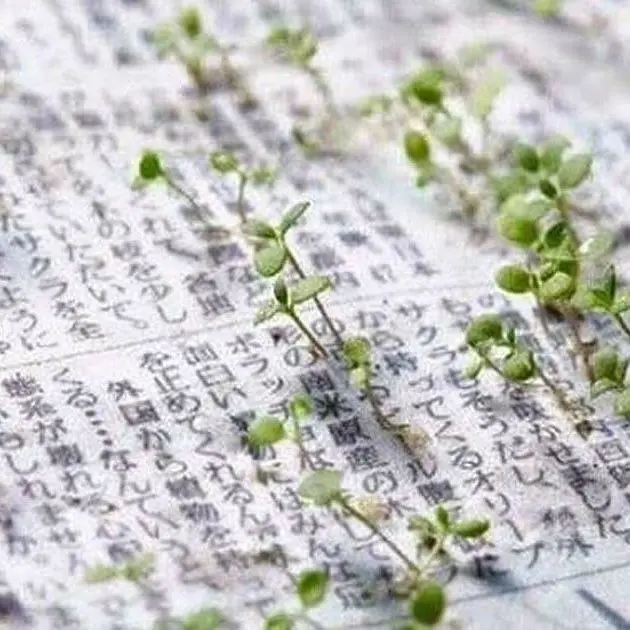 Mainichi Shimbun
#стратежнобл
«Газету можно посадить» цепляет ощущением простого смысла и продолжения жизни | Сетка — социальная сеть от hh.ru