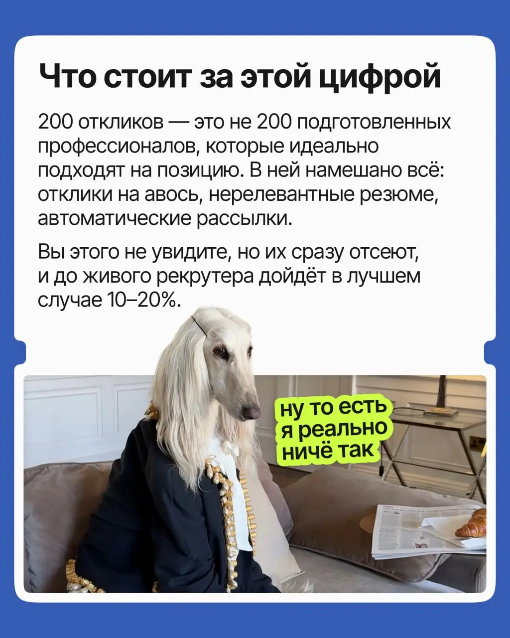 200 откликов на вакансию — это реальная конкуренция? | Сетка — социальная сеть от hh.ru
