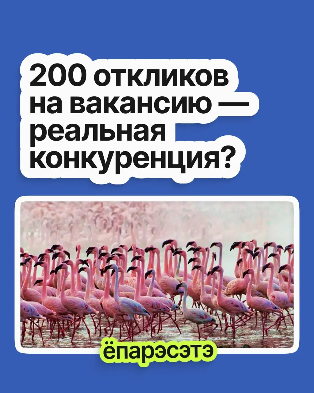 200 откликов на вакансию — это реальная конкуренция? | Сетка — социальная сеть от hh.ru