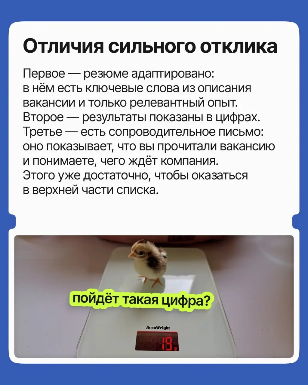 200 откликов на вакансию — это реальная конкуренция? | Сетка — социальная сеть от hh.ru