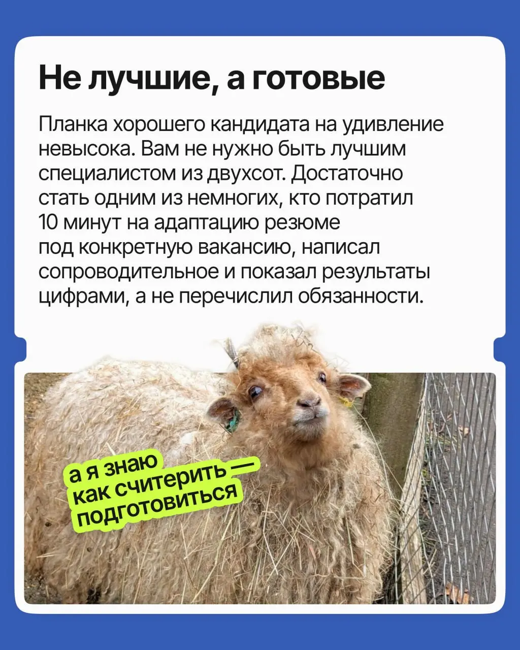 200 откликов на вакансию — это реальная конкуренция? | Сетка — социальная сеть от hh.ru