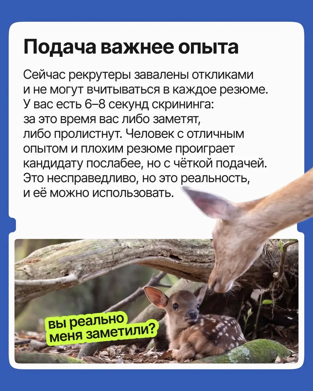 200 откликов на вакансию — это реальная конкуренция? | Сетка — социальная сеть от hh.ru