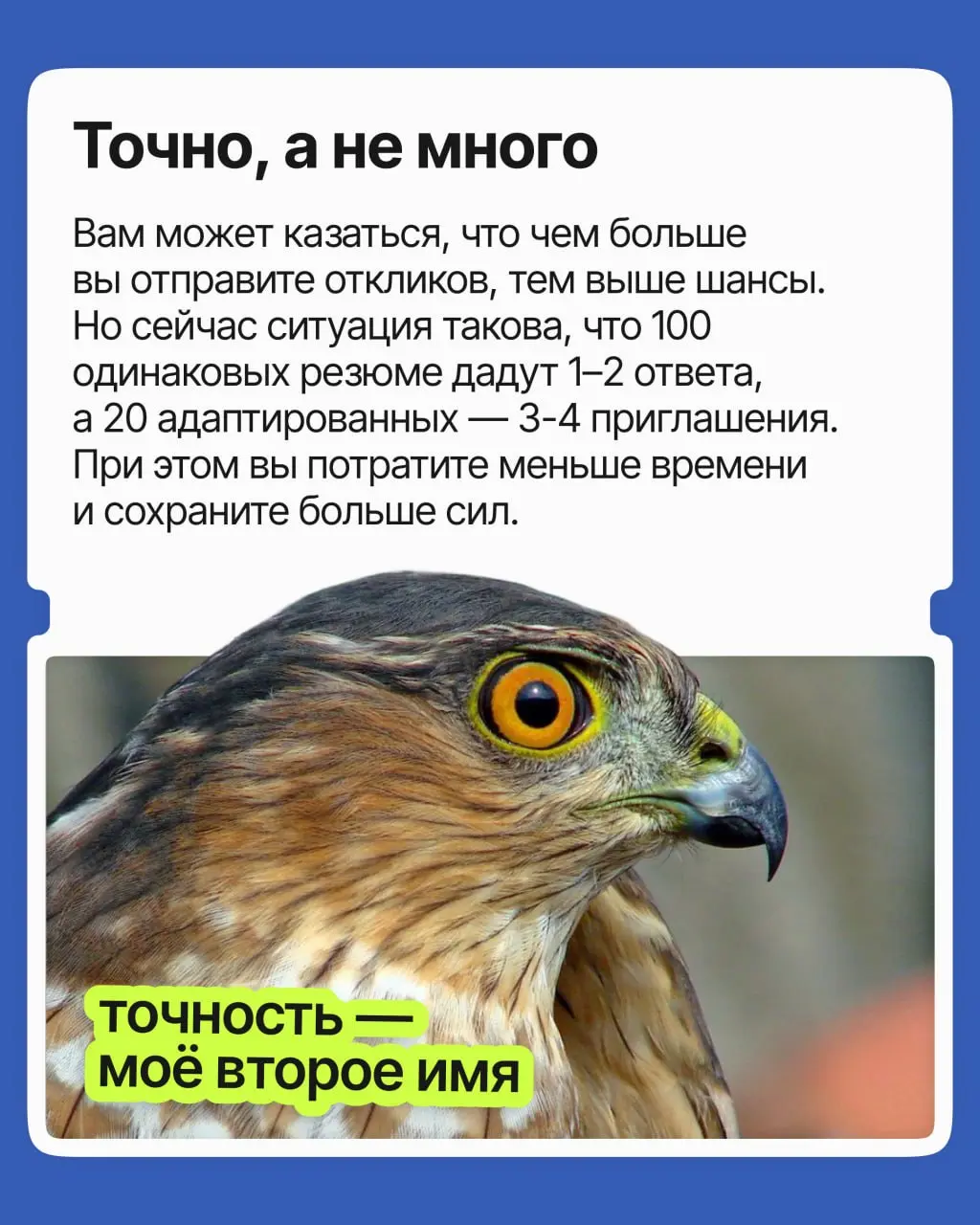 200 откликов на вакансию — это реальная конкуренция? | Сетка — социальная сеть от hh.ru