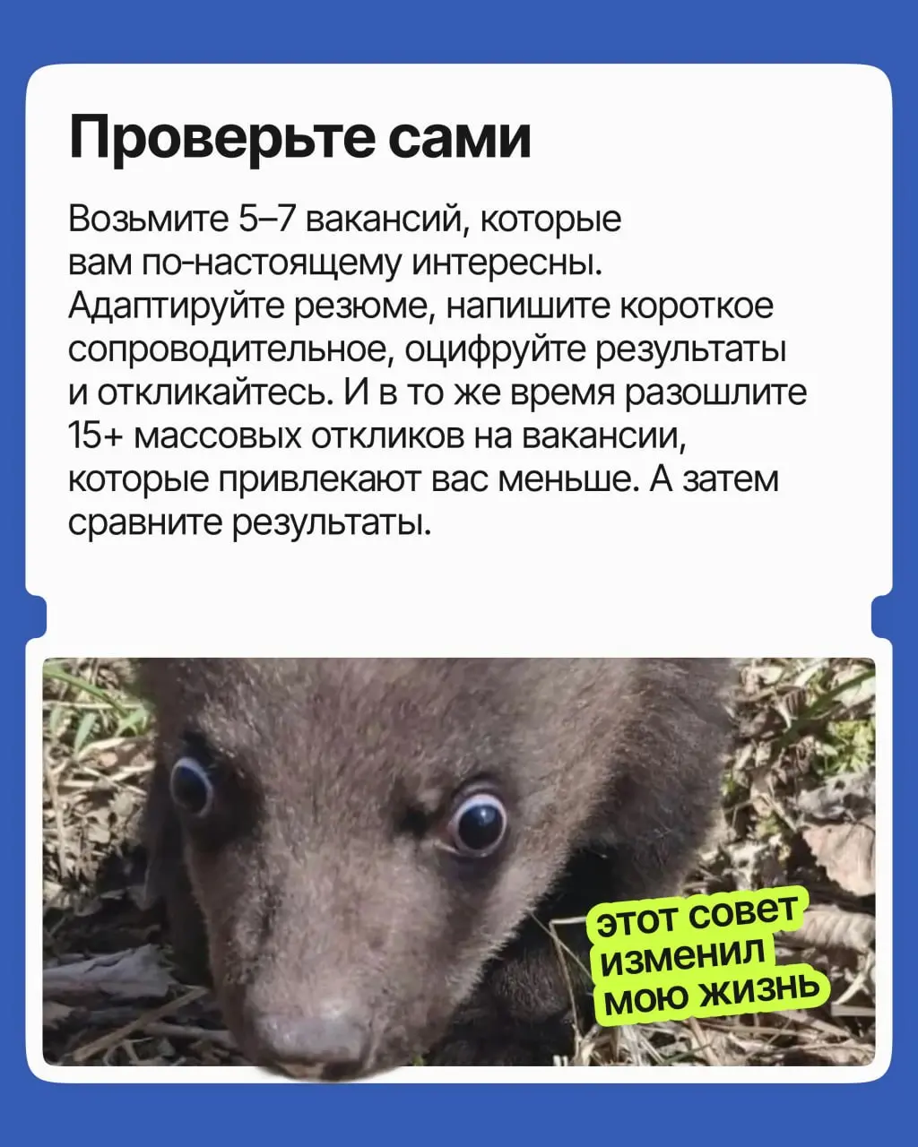 200 откликов на вакансию — это реальная конкуренция? | Сетка — социальная сеть от hh.ru
