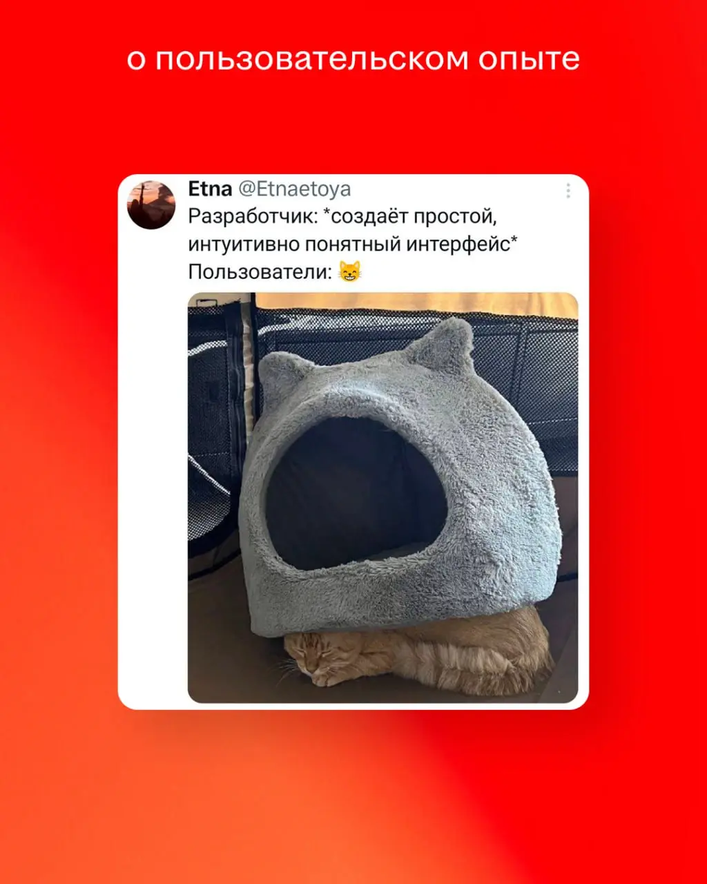 Мемы — то, ради чего мы открываем чаты даже в отпуске. Делимся коллекцией наших фаворитов!
Свои любимые мемы присылайте в комментарии 🐶 | Сетка — социальная сеть от hh.ru