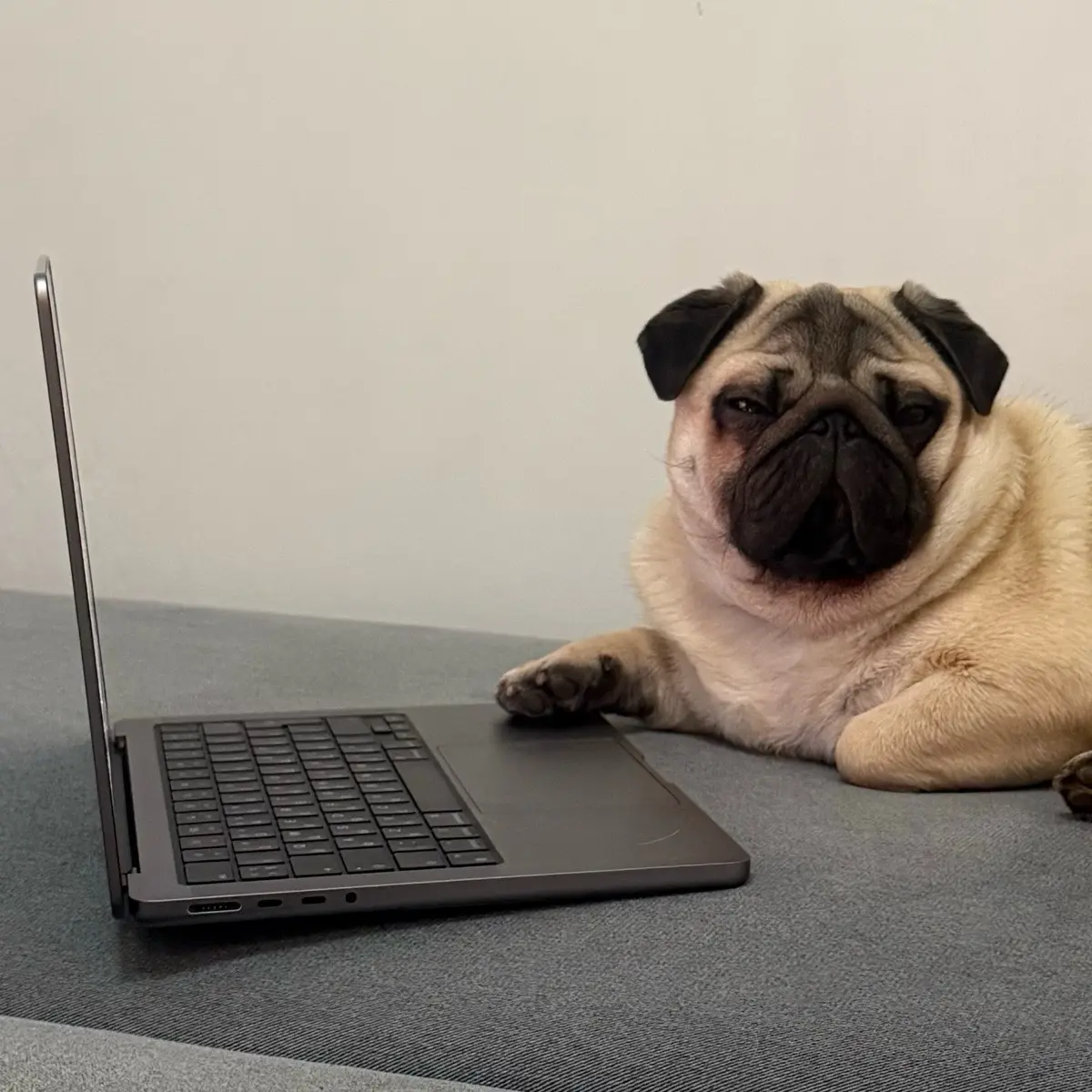 Саничка пытается в дизайн