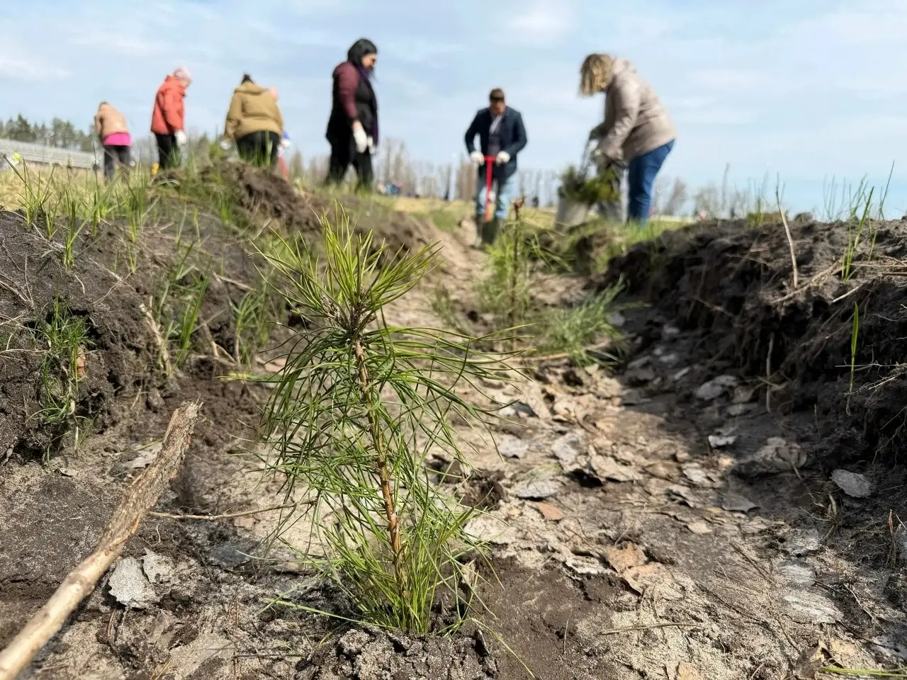 🌳Сотрудники Росводоканал Воронеж и Липецк присоединились к акции «Сад Памяти»
Активисты водоканалов высадили более 300 саженцев в рамках федерального проекта «Сад Памяти» | Сетка — социальная сеть от hh.ru