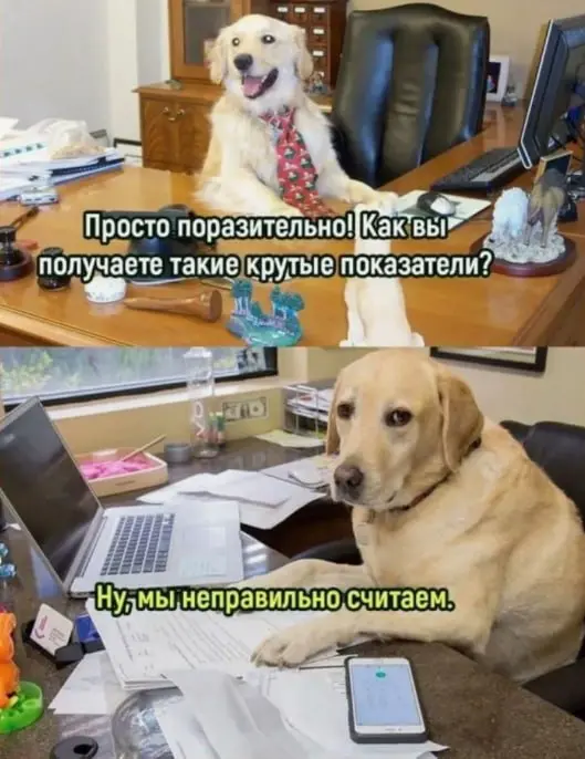 доклад еще одной медицинской компании | Сетка — социальная сеть от hh.ru