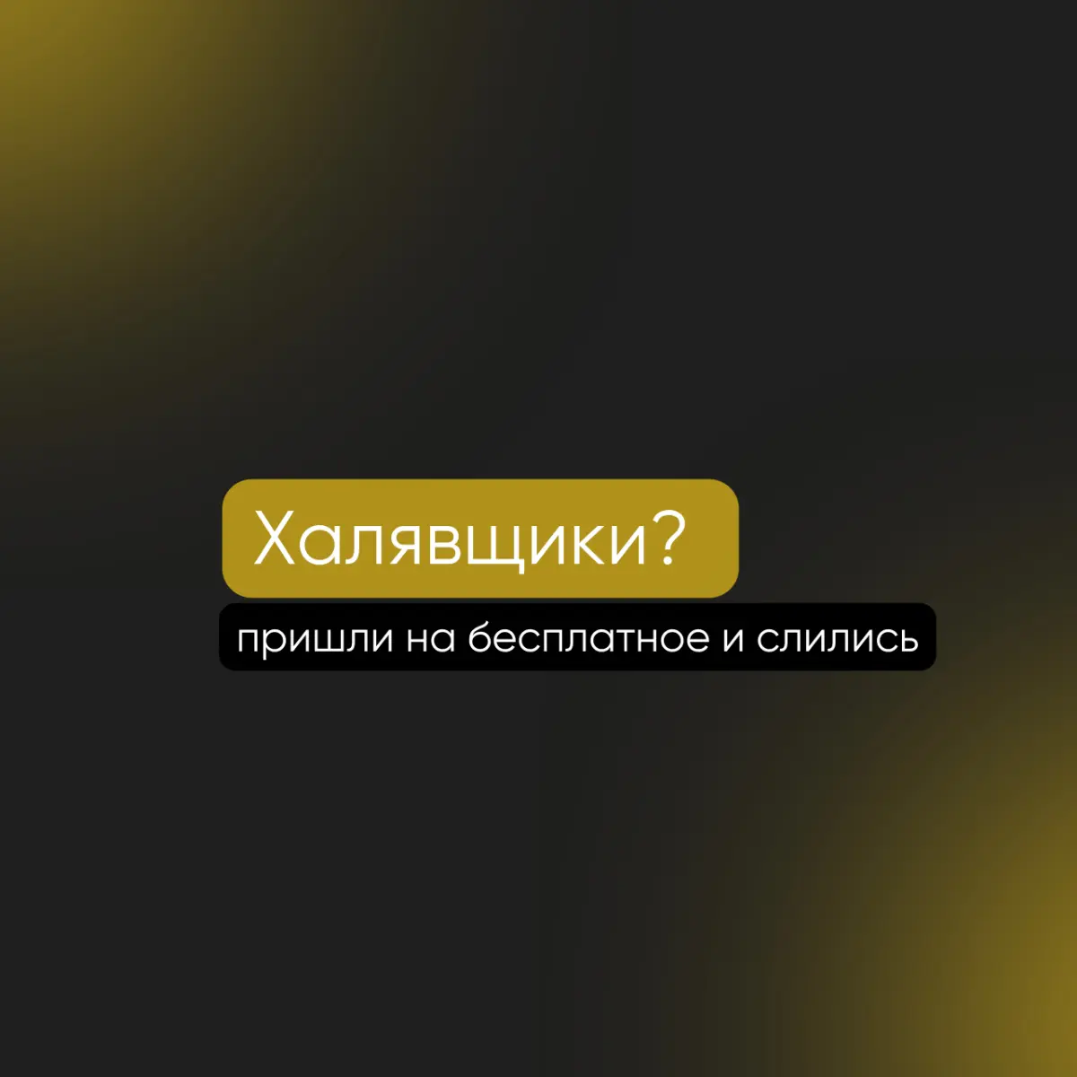 «Одни халявщики! Пришли на бесплатное и слились! | Сетка — социальная сеть от hh.ru