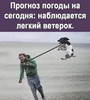 О погоде в Донецке | Сетка — социальная сеть от hh.ru