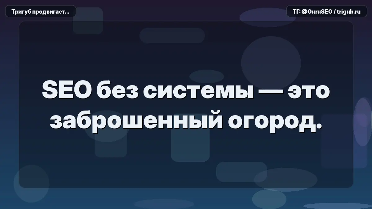 SEO без системы — это заброшенный огород. Семена растут, но плодов не будет. В условиях постоянных правок алгоритмов и давления конкурентов отсутствие структуры размазывает ваши усилия | Сетка — социальная сеть от hh.ru