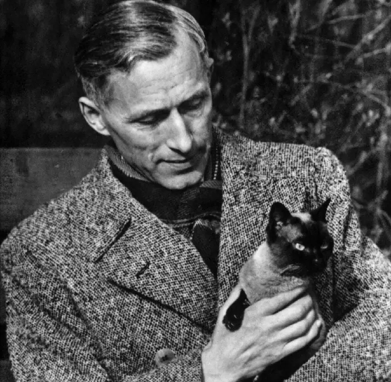 💬 Эрнст Юнгер
— Дорогoй друг, где вы пропадали, вас так давно не былo видно?
— Я жил.
#цитата | Сетка — социальная сеть от hh.ru