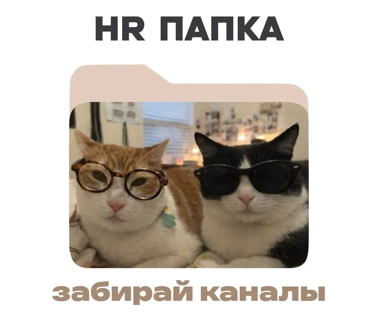 Коллеги, над какой HR-задачей вы сейчас работаете?
Чтобы в 2026 году системно работать над hr-процессами, достаточно этих каналов | Сетка — социальная сеть от hh.ru