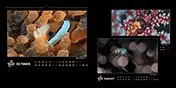 Квартальный календарь - «КАРЛИК» | Сетка — социальная сеть от hh.ru