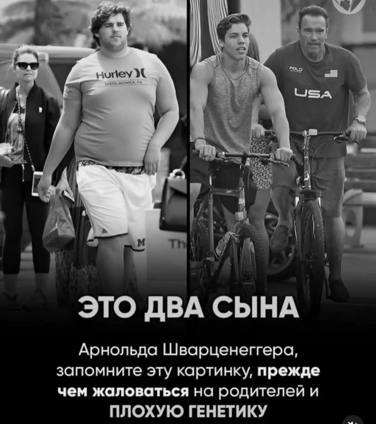 ⚙️🧠 | Сетка — социальная сеть от hh.ru