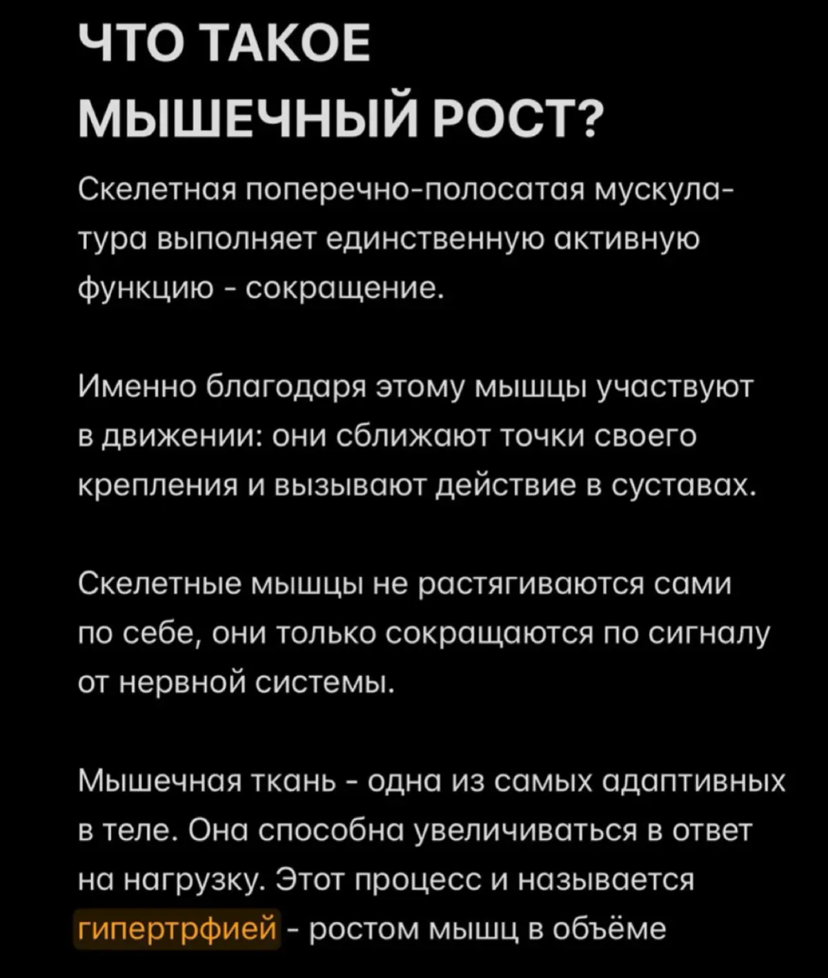 ⚙️🧠 | Сетка — социальная сеть от hh.ru
