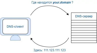 🌐 DNS: Телефонная книга, без которой интернет рассыплется | Сетка — социальная сеть от hh.ru