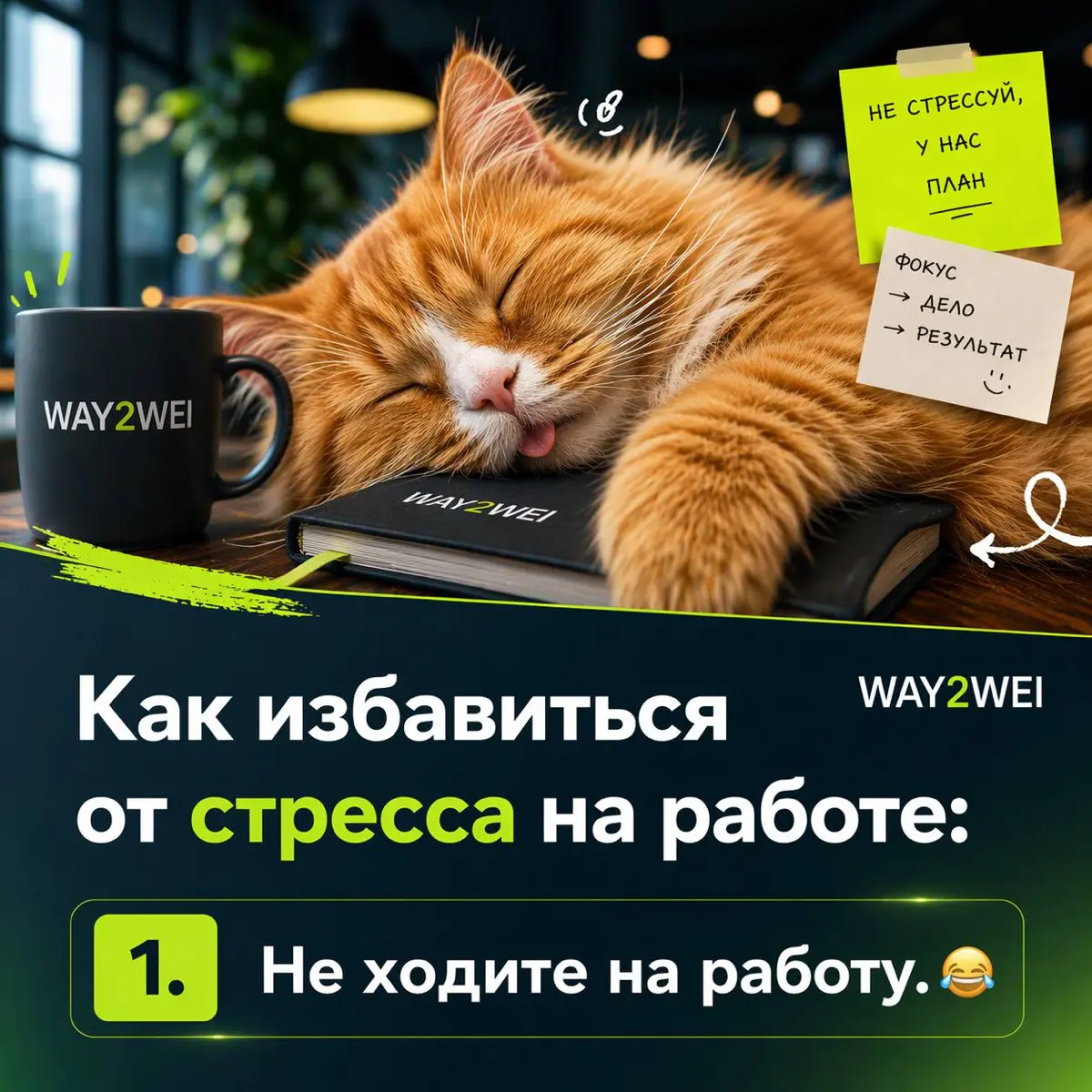 Хорошая стратегия выживания, но плохая бизнес-стратегия | Сетка — социальная сеть от hh.ru