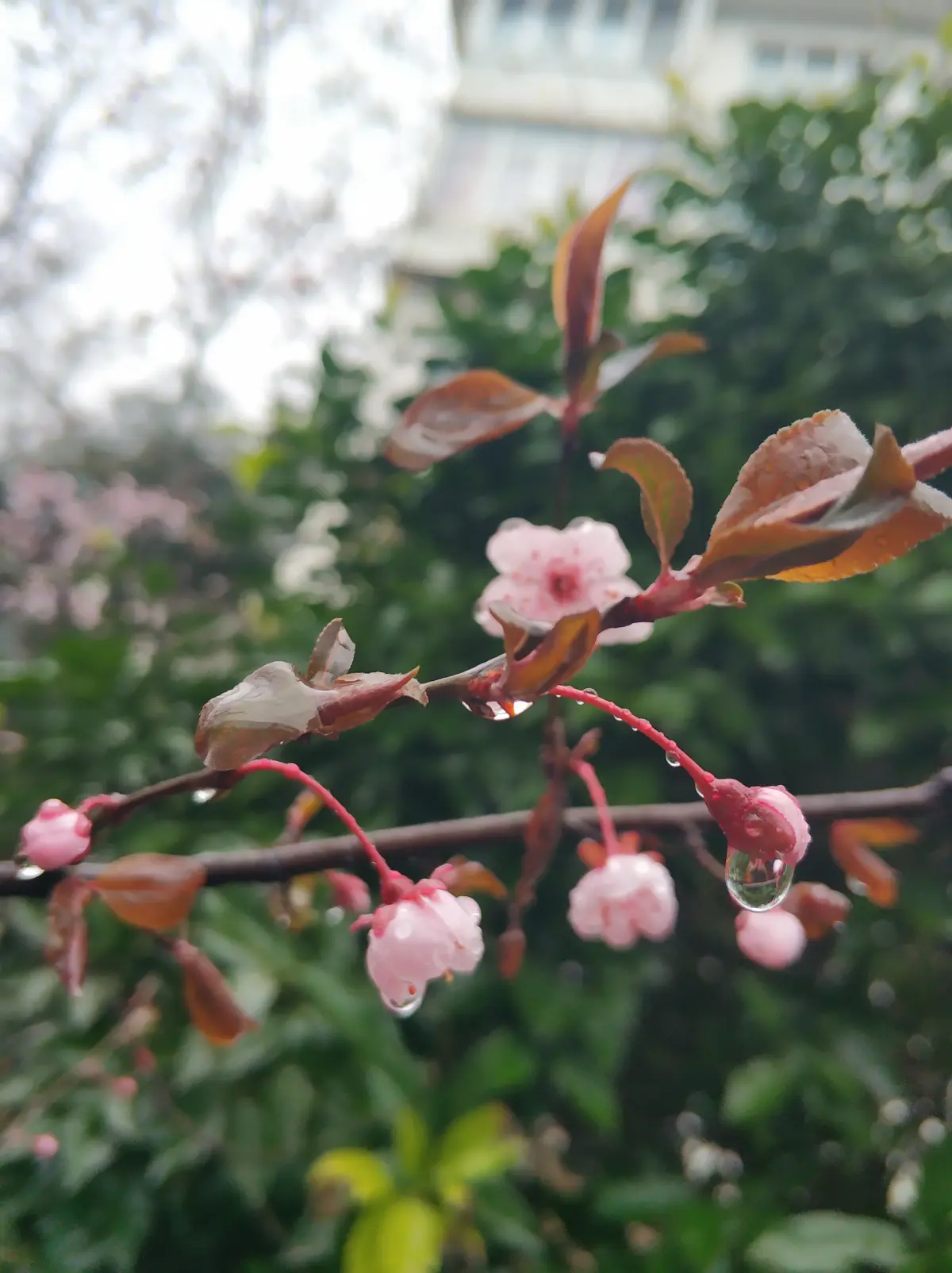 5 топовых выгод класса фасилитации "Бизнес делается иначе" | Сетка — социальная сеть от hh.ru