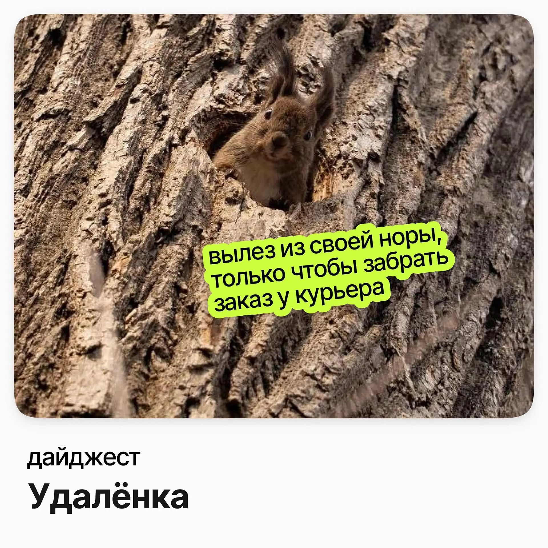 Вакансии на удалёнке | Сетка — социальная сеть от hh.ru