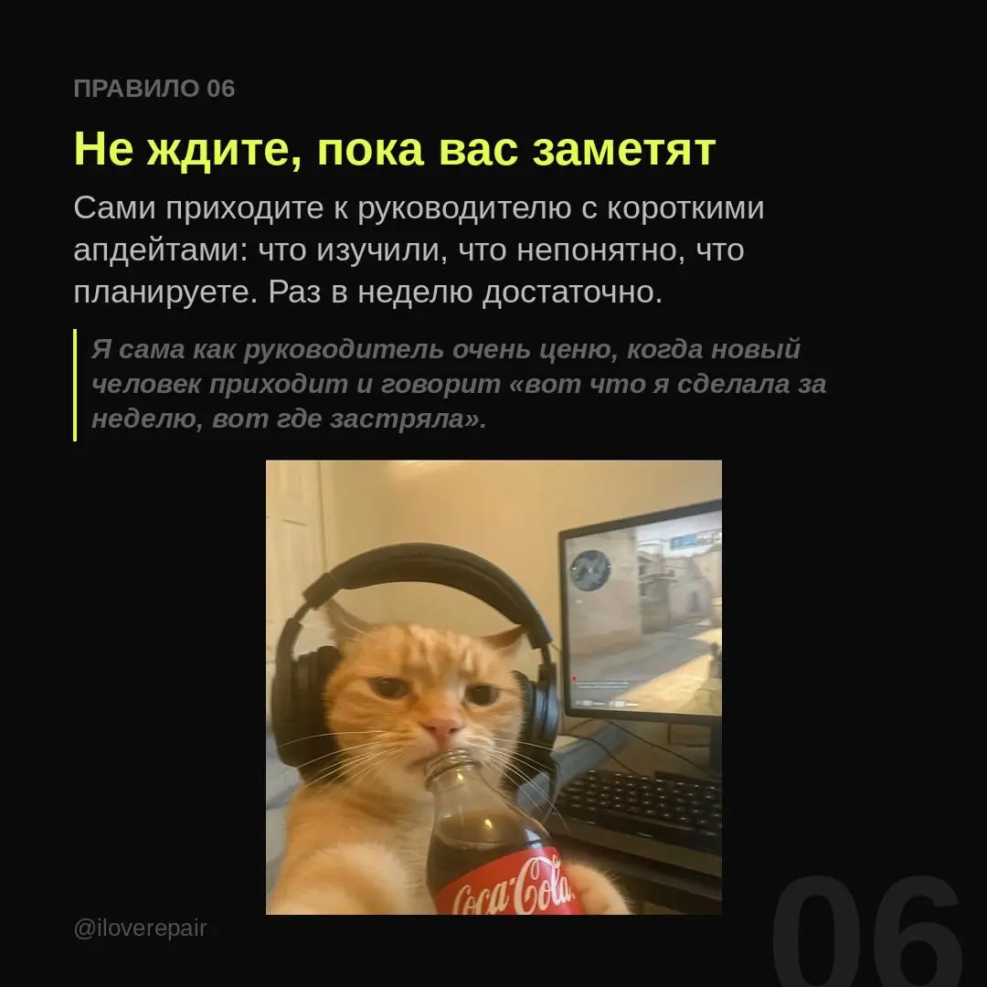 Меня часто спрашивают: почему ты ушла из современного искусства и стала работать в Яндексе?
Я строила карьеру в современном искусстве, потом пришла в Яндекс без опыта в корпорациях и выросла до креати... | Сетка — социальная сеть от hh.ru