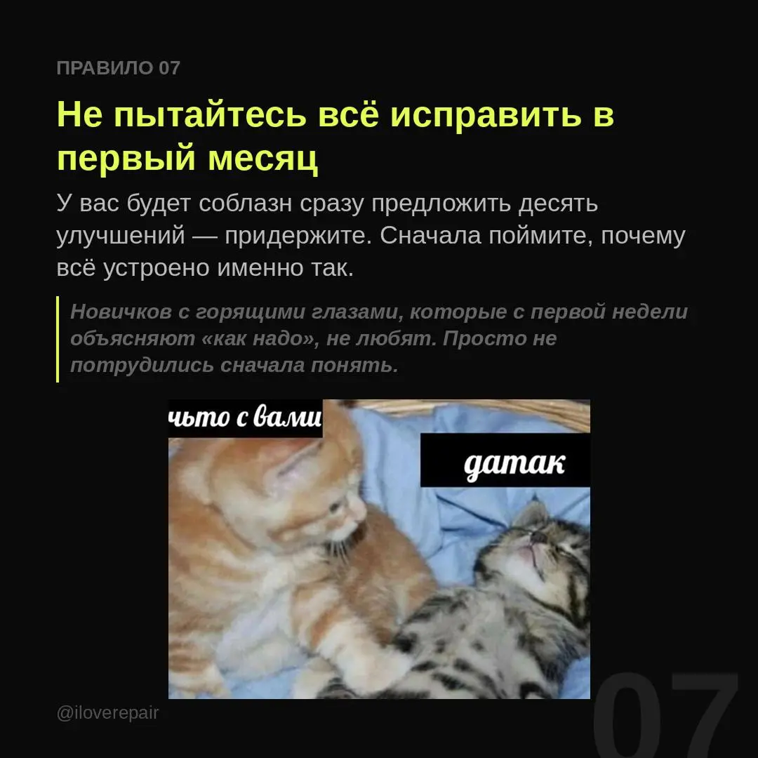 Меня часто спрашивают: почему ты ушла из современного искусства и стала работать в Яндексе?
Я строила карьеру в современном искусстве, потом пришла в Яндекс без опыта в корпорациях и выросла до креати... | Сетка — социальная сеть от hh.ru