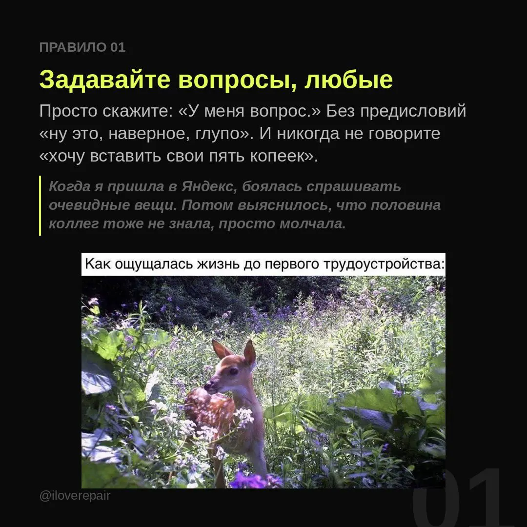 Меня часто спрашивают: почему ты ушла из современного искусства и стала работать в Яндексе?
Я строила карьеру в современном искусстве, потом пришла в Яндекс без опыта в корпорациях и выросла до креати... | Сетка — социальная сеть от hh.ru