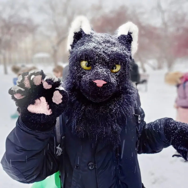 Ильин Кирилл