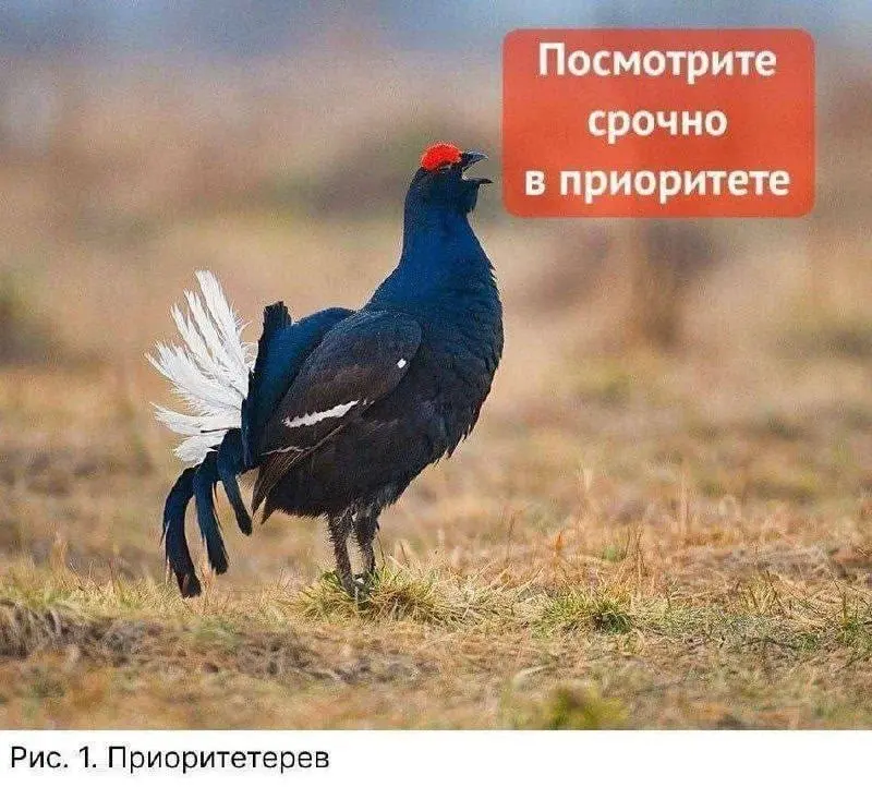Все там будем (на этом канале). Подписывайся 🗿 | Сетка — социальная сеть от hh.ru