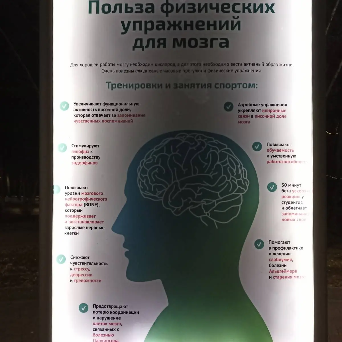 Андрей Анатольев | Сетка — социальная сеть от hh.ru