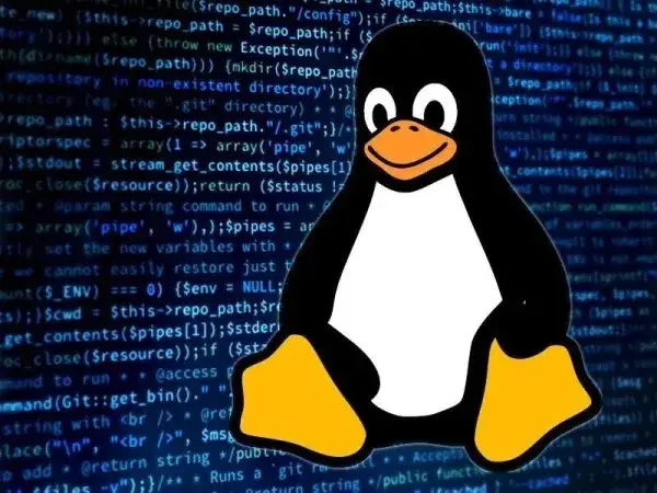 🐧 Почему у всех Linux именно пингвин? История Tux’а | Сетка — социальная сеть от hh.ru