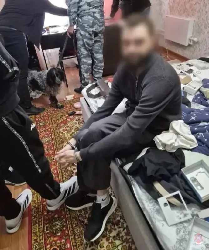 В Волгограде задержали директора Волжской лиги КВН за хранение наркотиков | Сетка — социальная сеть от hh.ru