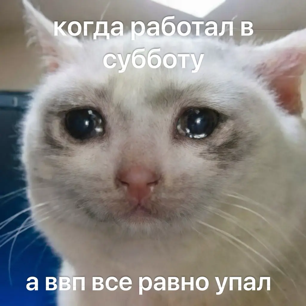 я ведь правда работал.. | Сетка — социальная сеть от hh.ru
