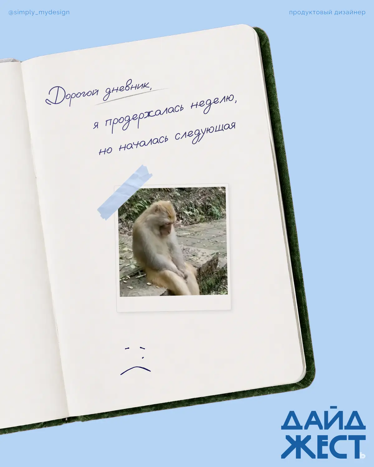 Дайджест 📚 | Сетка — социальная сеть от hh.ru