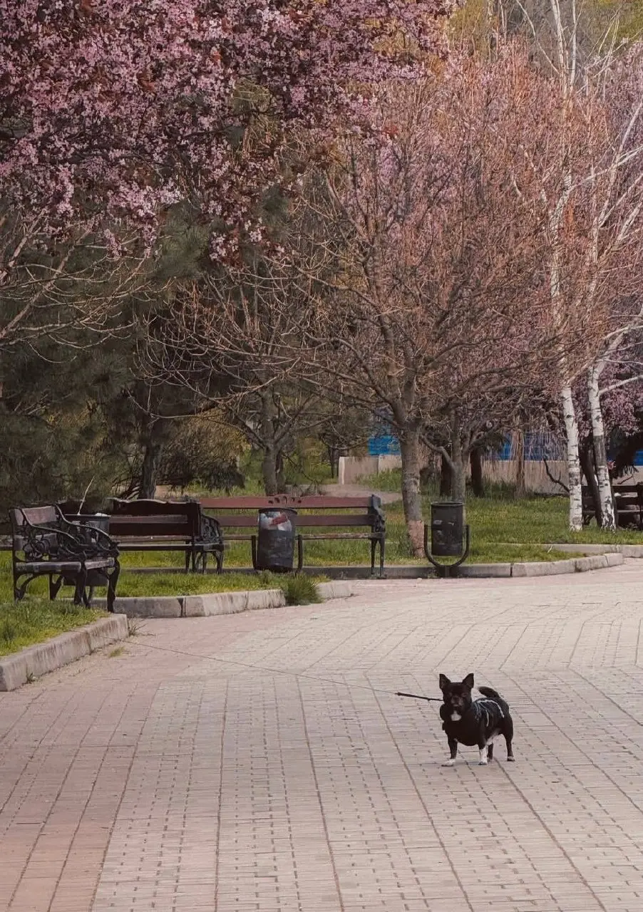 #Донецк #ДНР #Донецк2026 #ДНРжизнь #ДонецкНашДом #Новороссия #СпасениеДонбасса #ДНРСегодня #ДонецкТочно #ПовседневнаяЖизнь #ДонбасскиеНовости #СобытияДНР #Донецкаягруппановостей #ЛюбимыйДонецк #Донets... | Сетка — социальная сеть от hh.ru