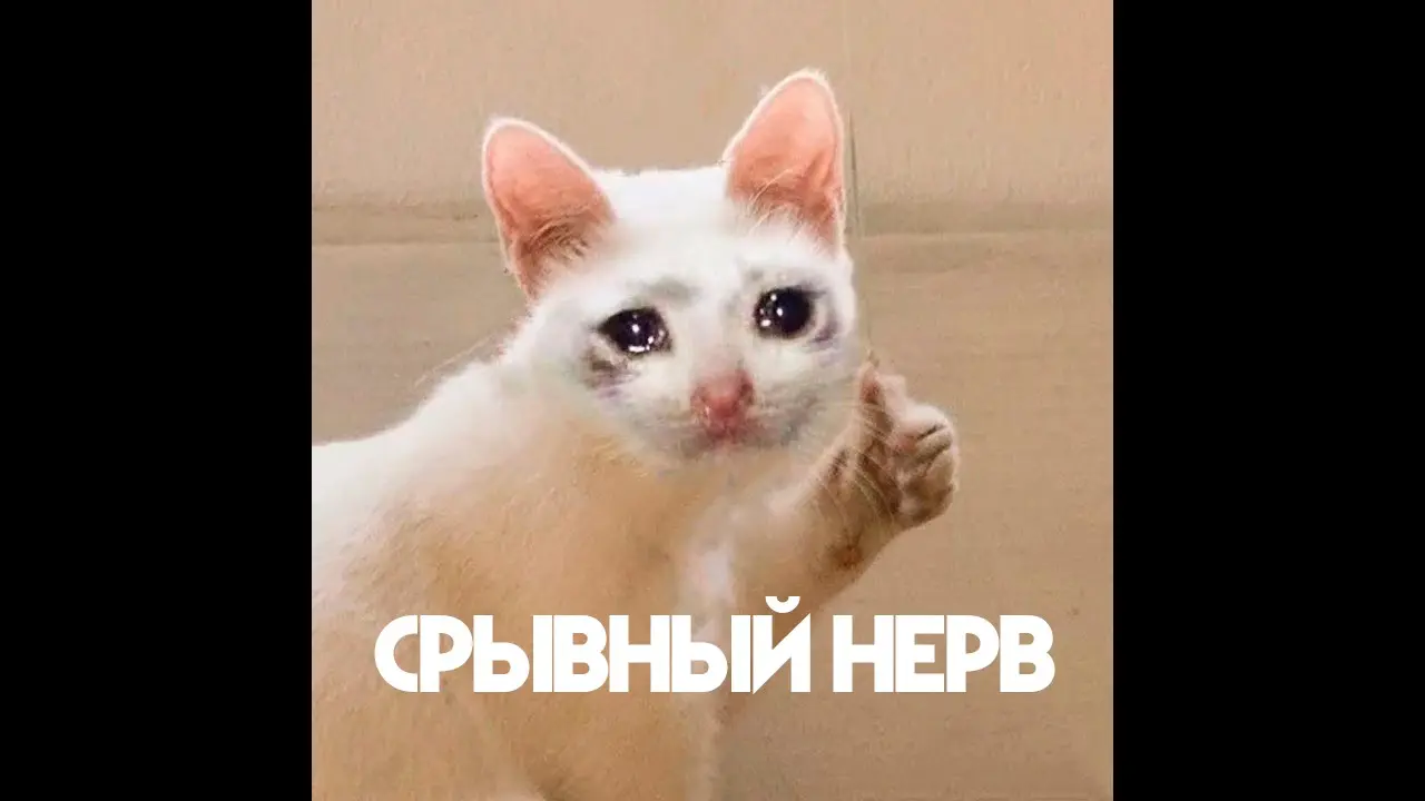 Когда осознал, что.... | Сетка — социальная сеть от hh.ru