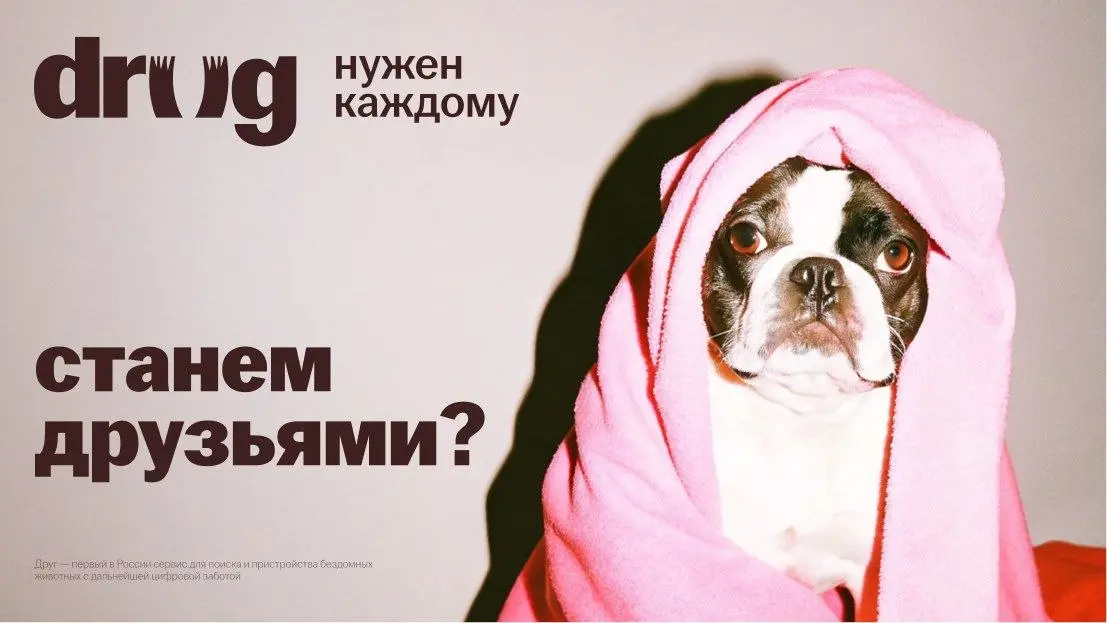 Я один тут вижу ДРАГ? | Сетка — социальная сеть от hh.ru