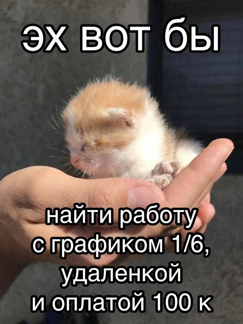 И такую же премию🐱
🖤 ЛОВИ ОФФЕР!
В этом посте были ссылки, но мы их удалили по правилам Сетки | Сетка — социальная сеть от hh.ru