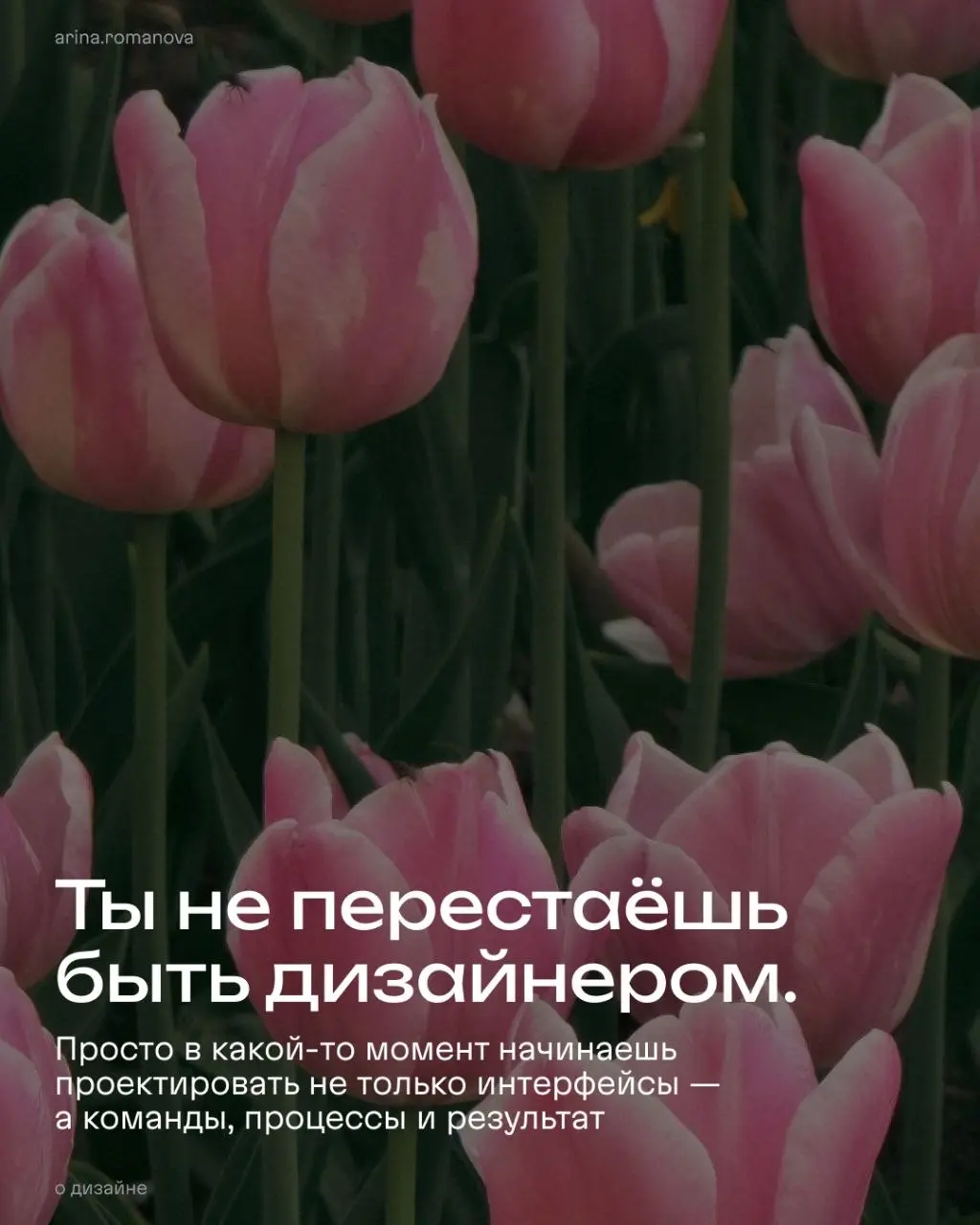 Когда я хотела расти в дизайне, я думала про большие проекты
Почему-то никто не сказал, что там еще идут люди, процессы, дедлайны и куча ответственности в комплекте 🫠 | Сетка — социальная сеть от hh.ru