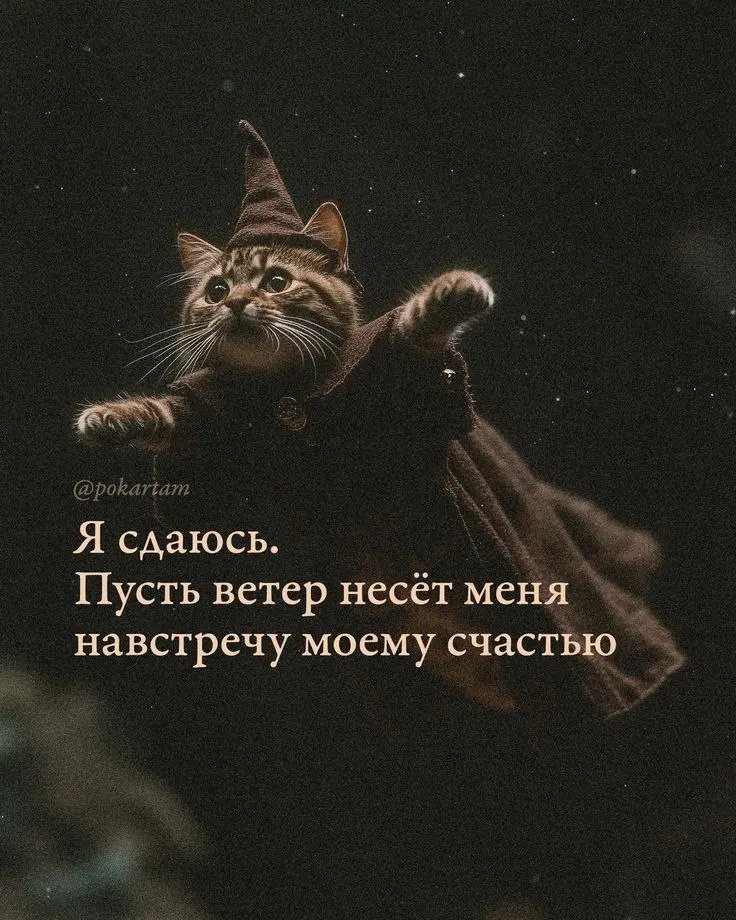 Ой, что будет-то😱...
...теперь у меня в канале?
Да хер его знает, если честно. Пока лайф😅 Лайф из лайф, до тех пор пока меня не ужалит мухза вдохновения на что-то умное | Сетка — социальная сеть от hh.ru