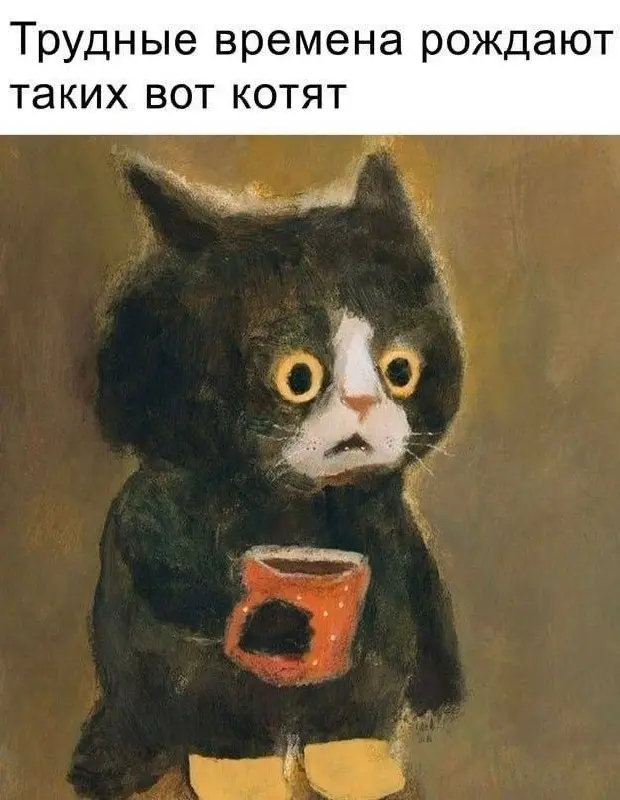Ему этот мир уже понятен 😂
От любимого клиента Елены ❤️
#Юмор@poldner #Коты@poldner | Сетка — социальная сеть от hh.ru