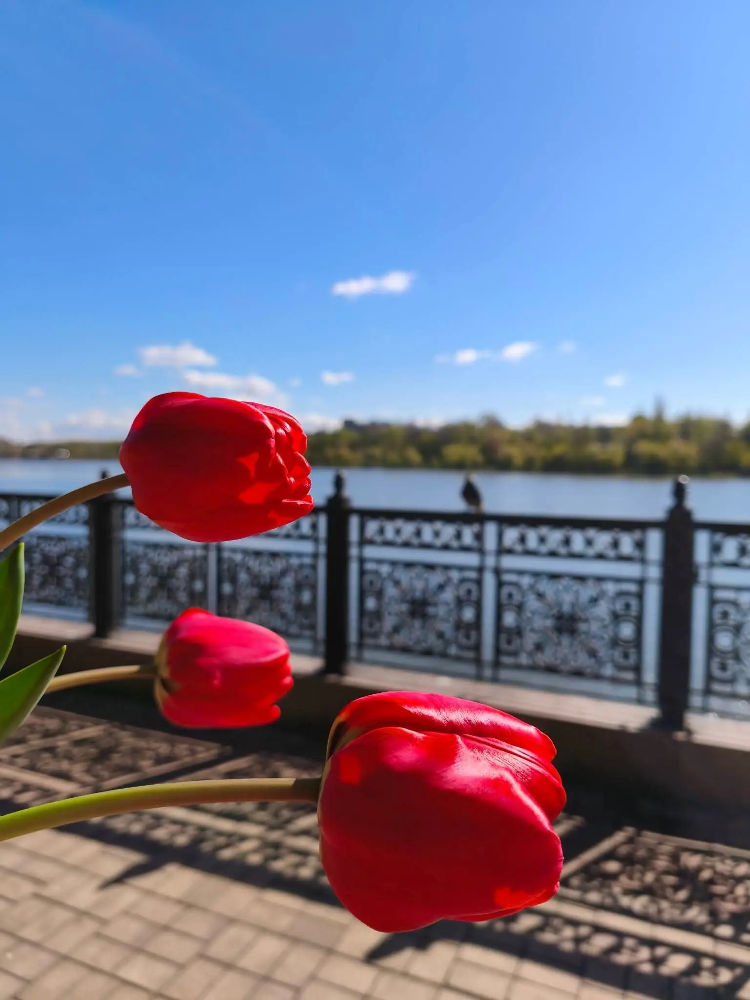 Набережная Донецка сегодня | Сетка — социальная сеть от hh.ru