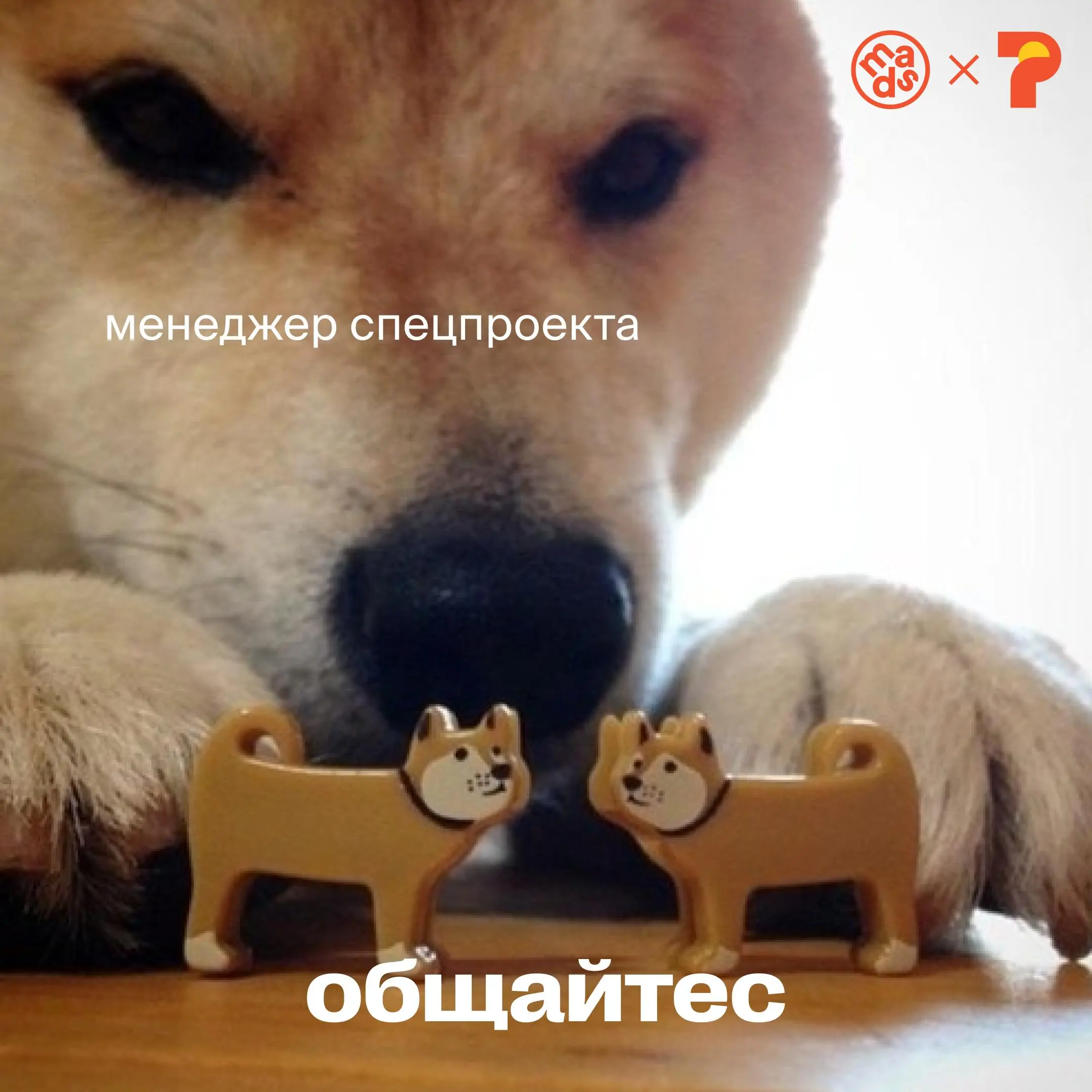🗣 Главные трудности в работе над спецпроектами по моему опыту возникают в плоскостях

коммуникации между подразделениями, входящими в состав рабочей группы;
информирования и информированности рабочей ... | Сетка — социальная сеть от hh.ru