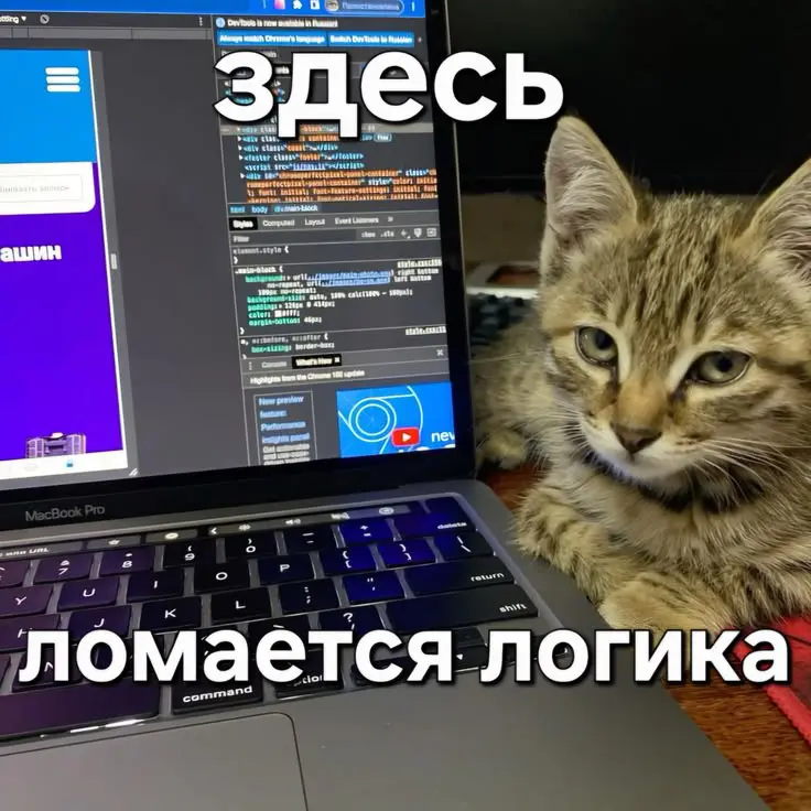 Как проверить UX, если нельзя собирать данные? 🤔 | Сетка — социальная сеть от hh.ru