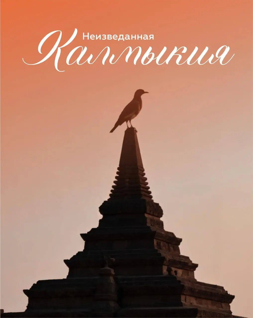 🪬 Неизведанная Калмыкия | Сетка — социальная сеть от hh.ru