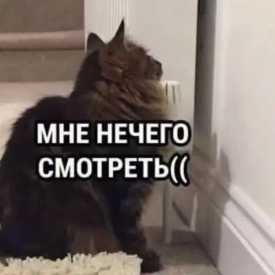 🤔👇 | Сетка — социальная сеть от hh.ru