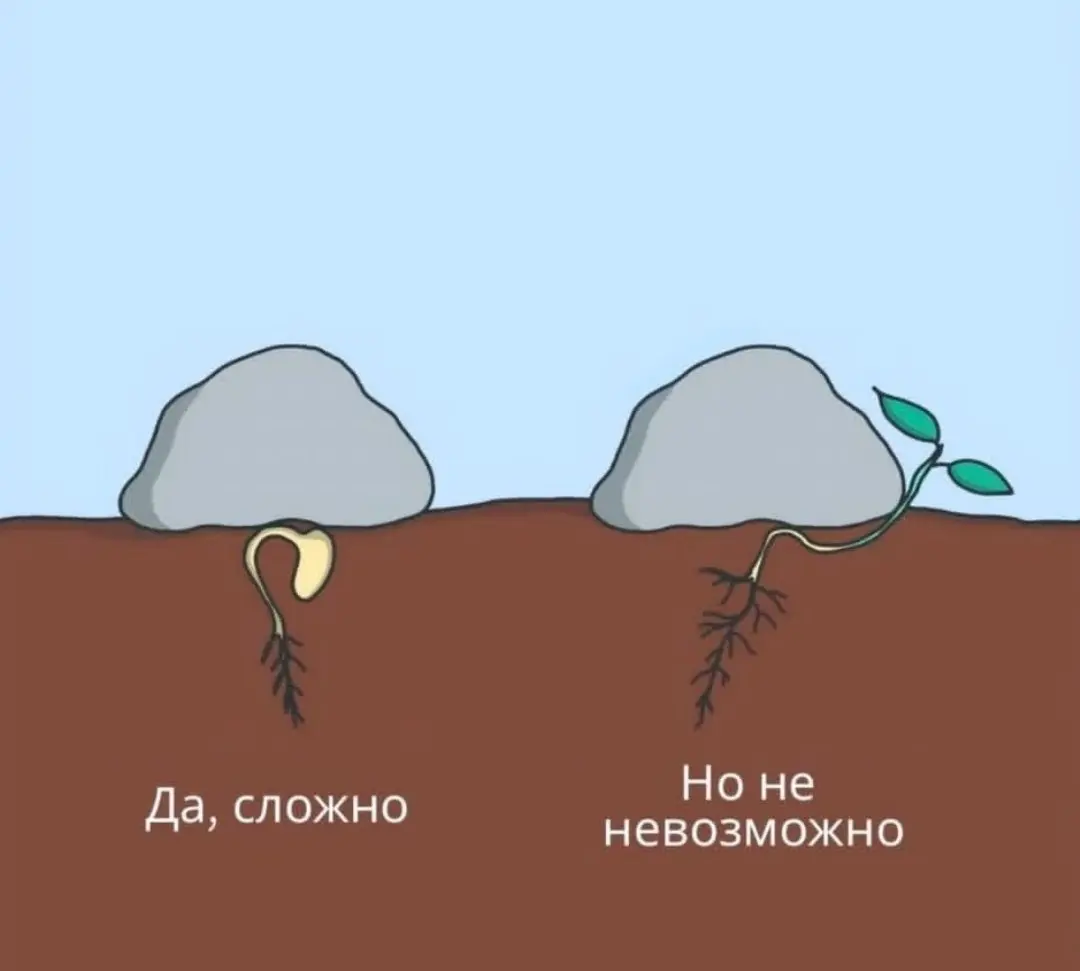 То, что скрывается под привычкой нести
Всё, о чём я говорила в этой серии, упирается в один внутренний навык | Сетка — социальная сеть от hh.ru