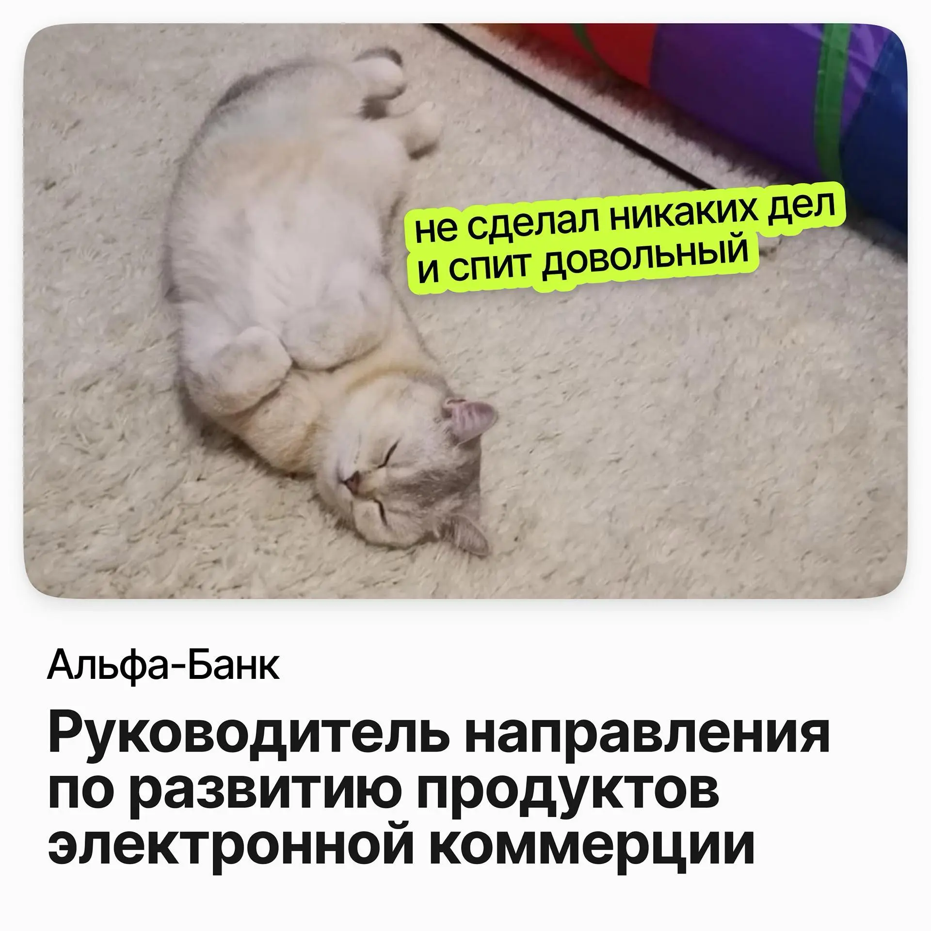 Руководитель направления по развитию продуктов / Альфа-банк | Сетка — социальная сеть от hh.ru