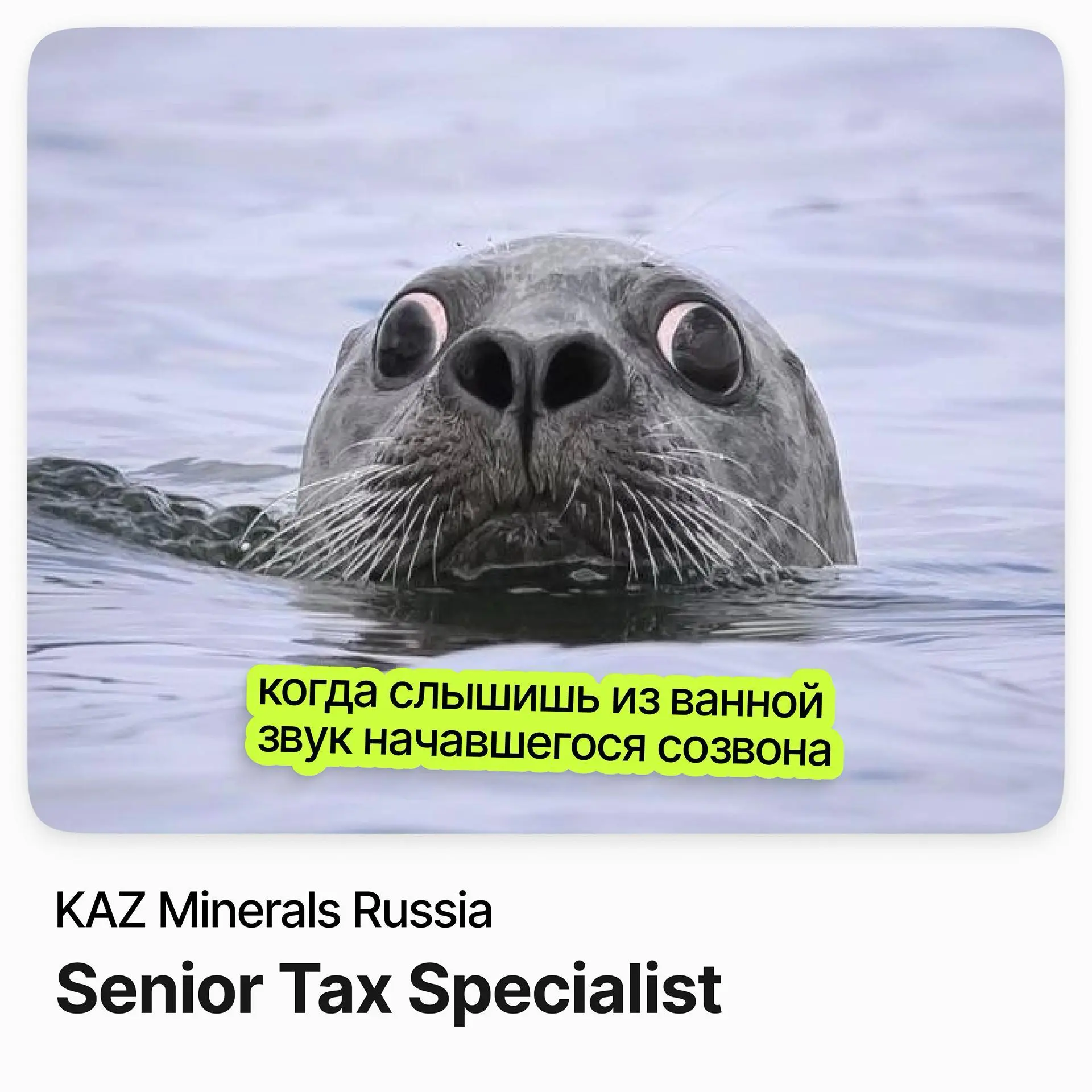 Senior Tax Specialist / KAZ Minerals Russia | Сетка — социальная сеть от hh.ru
